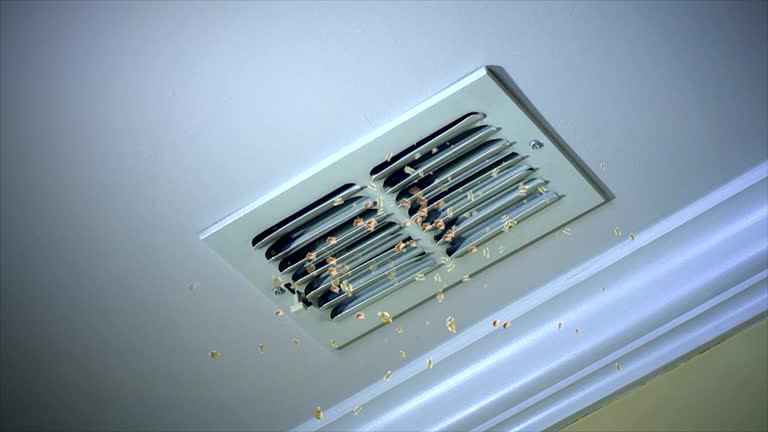 Best Emergency Air Duct Cleaning  in Meadow Oaks, FL