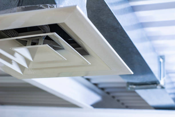 Best Air Duct Mold Removal  in Meadow Oaks, FL